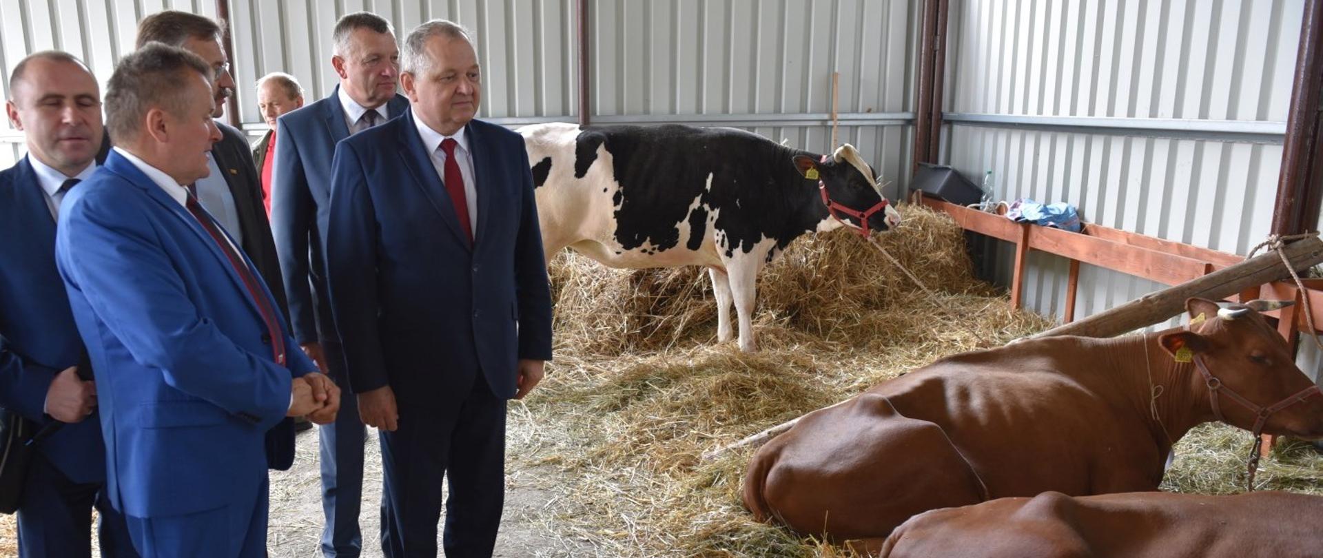 Wiceminister Zarudzki zwiedza Świętokrzyską Wystawę Zwierząt Hodowlanych