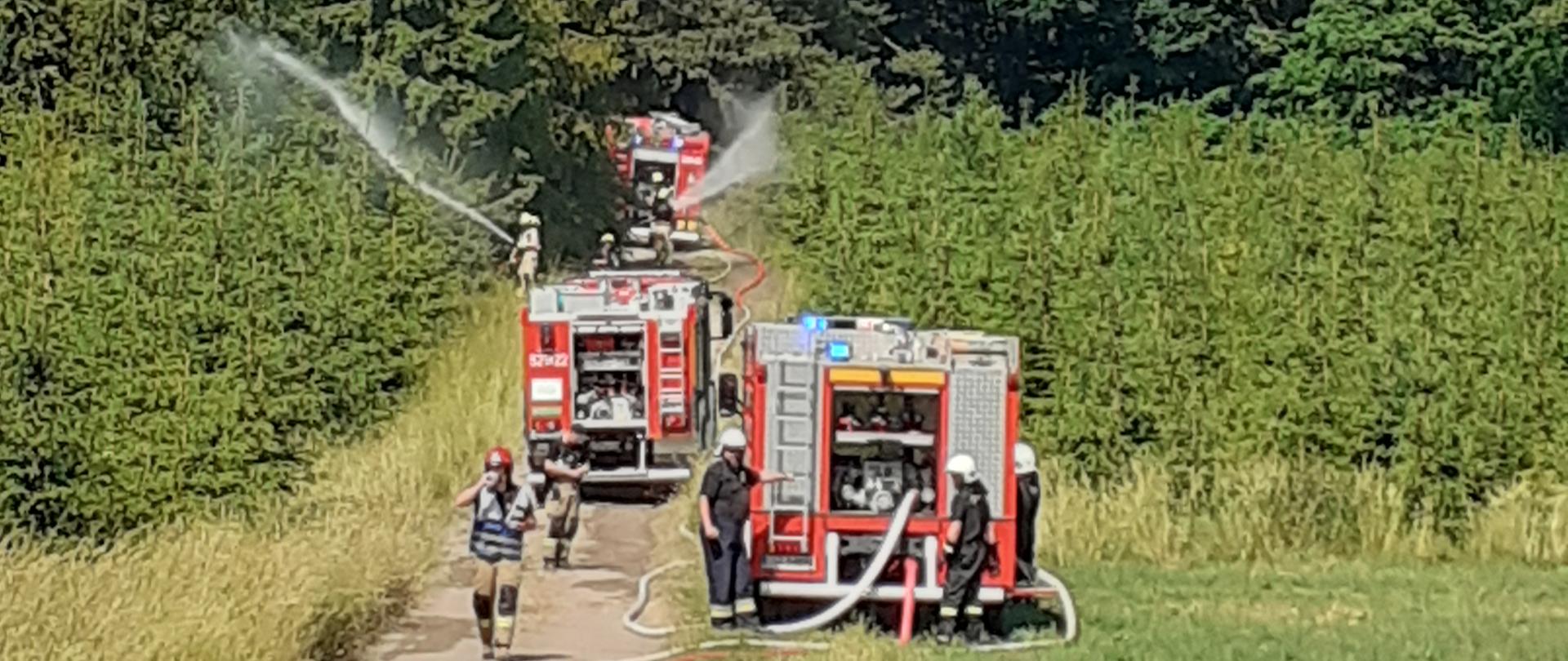 Zdjęcie przedstawia strażaków podczas ćwiczeń, widać samochody pożarnicze i strażaków z prądem wody w natarciu
