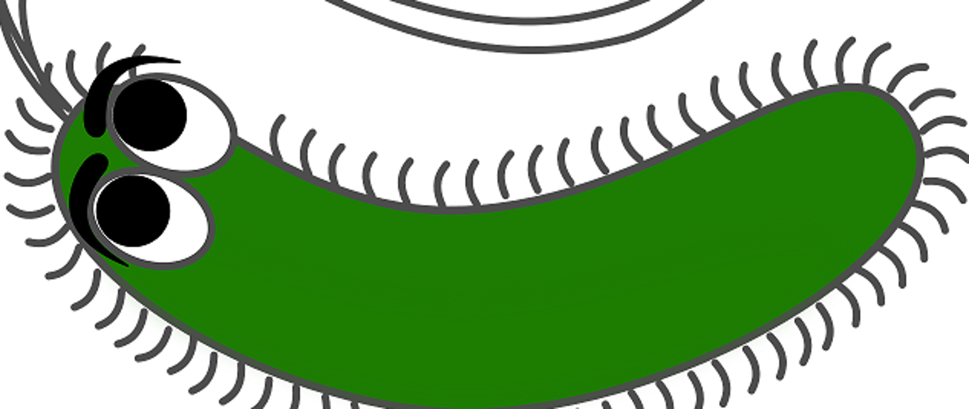 rysunek dziecięcy/grafika przedstawiająca leżącą zieloną bakterię z oczami 