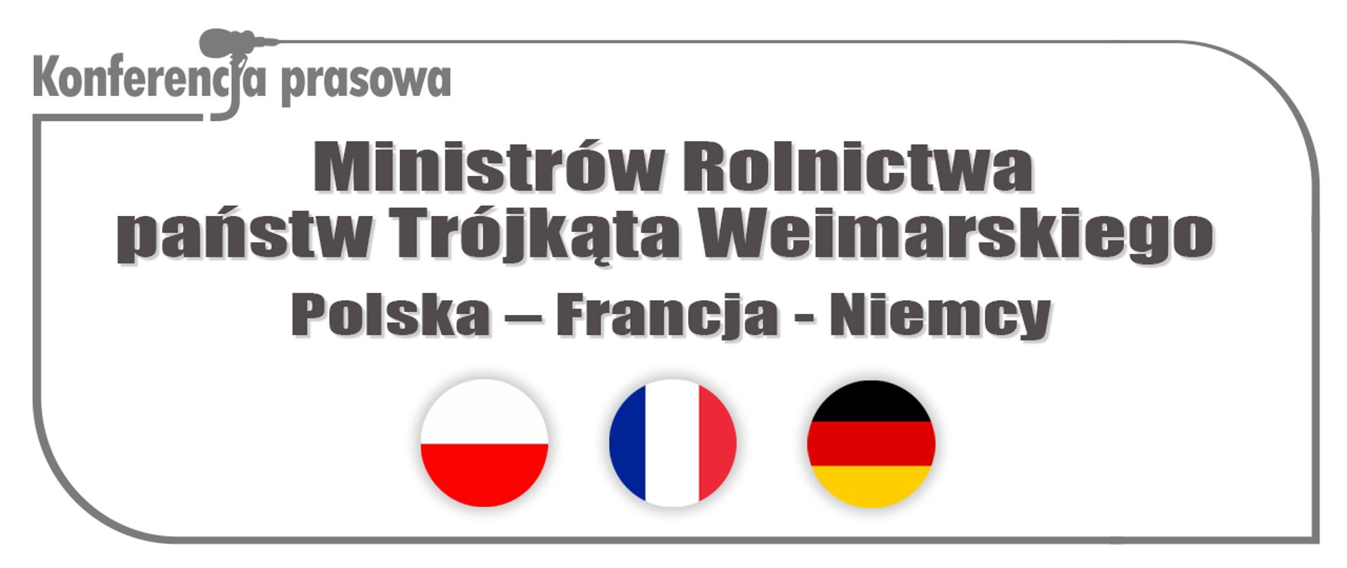 Infografika - zaproszenie na konferencję prasową