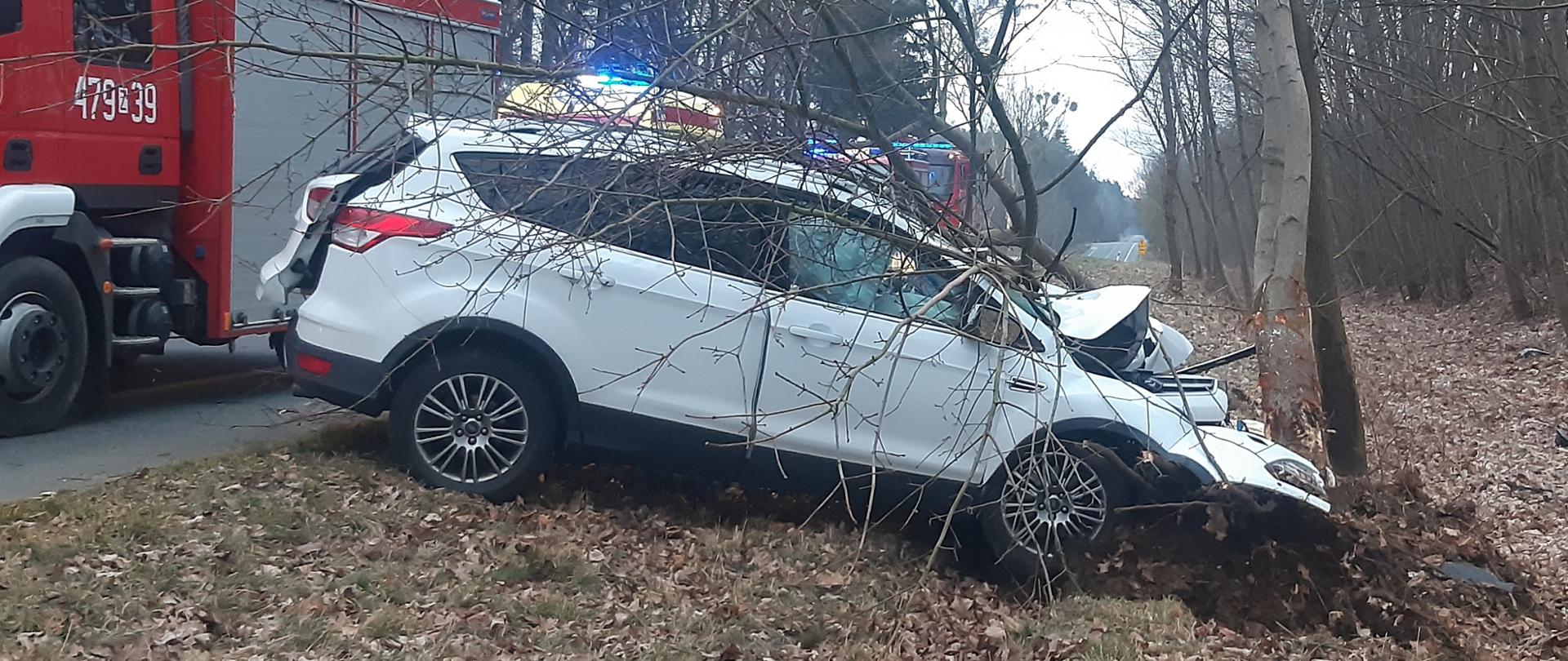 Biały samochód z uszkodzonym przodem, z boku samochód strażacki i dwóch strażaków