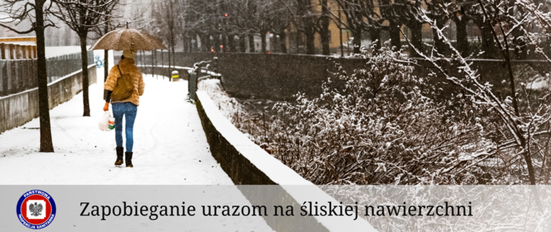 Na grafice widzimy kobietę idąca zaśnieżoną drogą. 