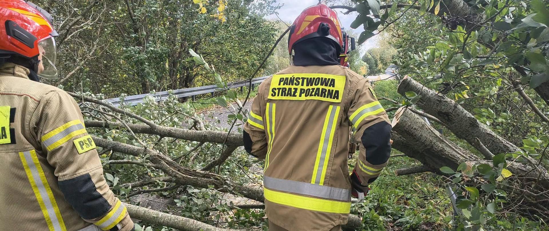 Na zdjęciu widocznych jest dwóch strażaków Państwowej Straży Pożarnej w ubraniach specjalnych i hełmach ochronnych, prowadzących działania związane z usuwaniem powalonego drzewa. Duży pień oraz liczne konary i gałęzie blokują jezdnię, utrudniając przejazd. Strażacy pracują w otoczeniu gęstej roślinności, przy metalowej barierze ochronnej, usuwając przeszkodę w celu przywrócenia przejezdności drogi.