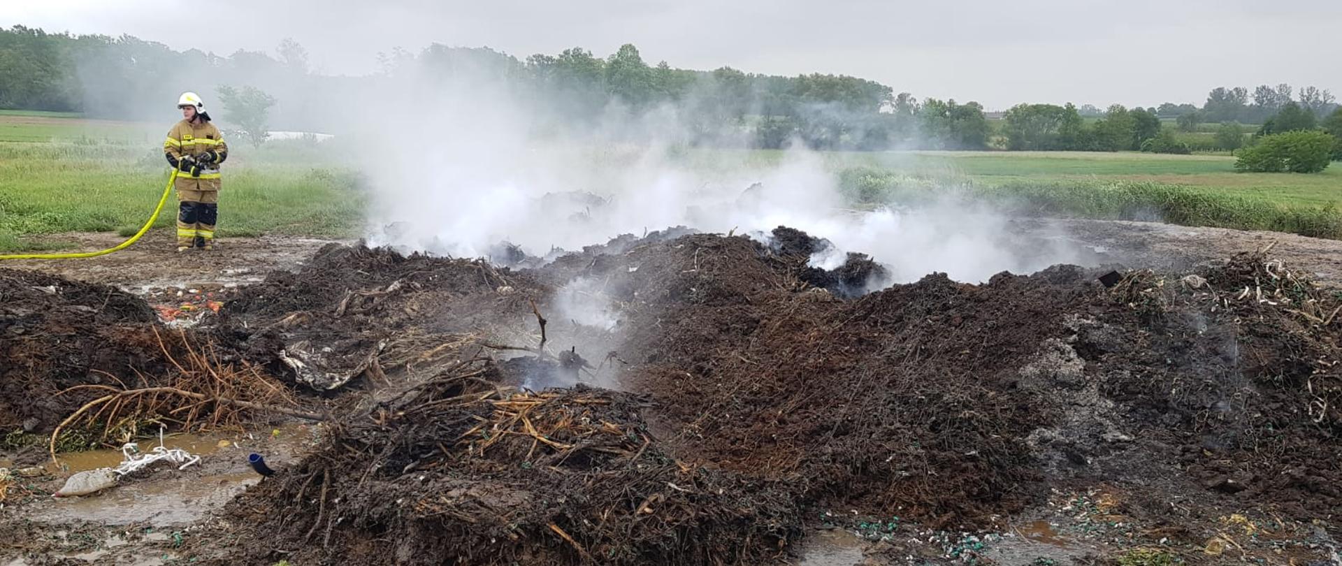 Na zdjęciu widać spalone pozostałości roślinne. Nad stertą unosi się jasny dym. W tle ratownik ubrany w ubranie specjalne i hełm. Zbudowana jest linia gaśnicza zakończona prądownicą. Wąż koloru kanarkowego. Zdjęcie w ciągu dnia. Zachmurzenie duże. W tle zielone pola uprawne.