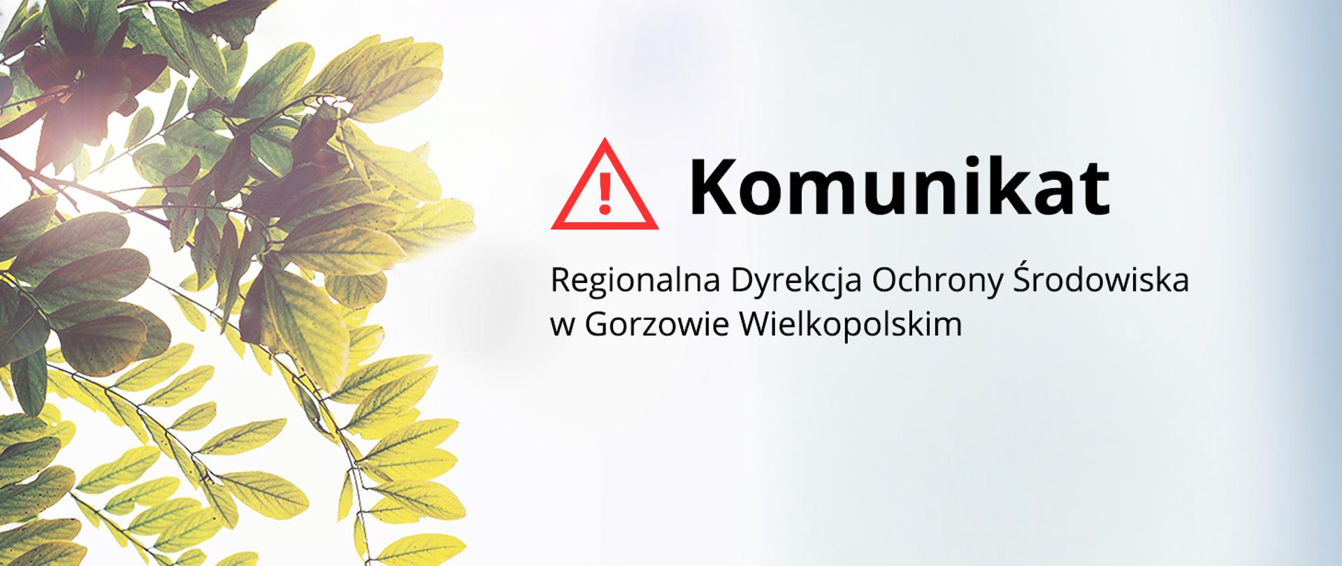 Na zdjęciu napis Komunikat RDOŚ w Gorzowie Wlkp. i gałązka z lewej strony