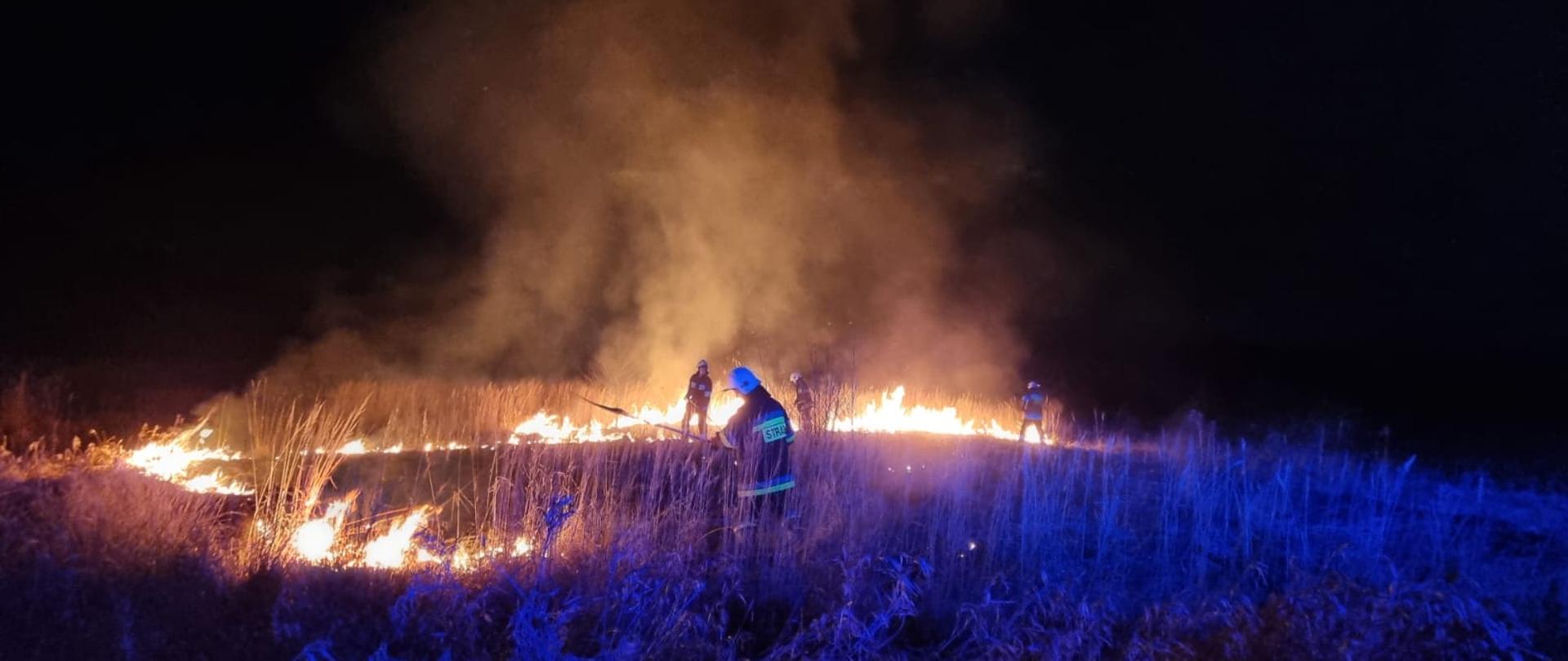 Strażacy gaszą pożar suchych traw i nieużytków
