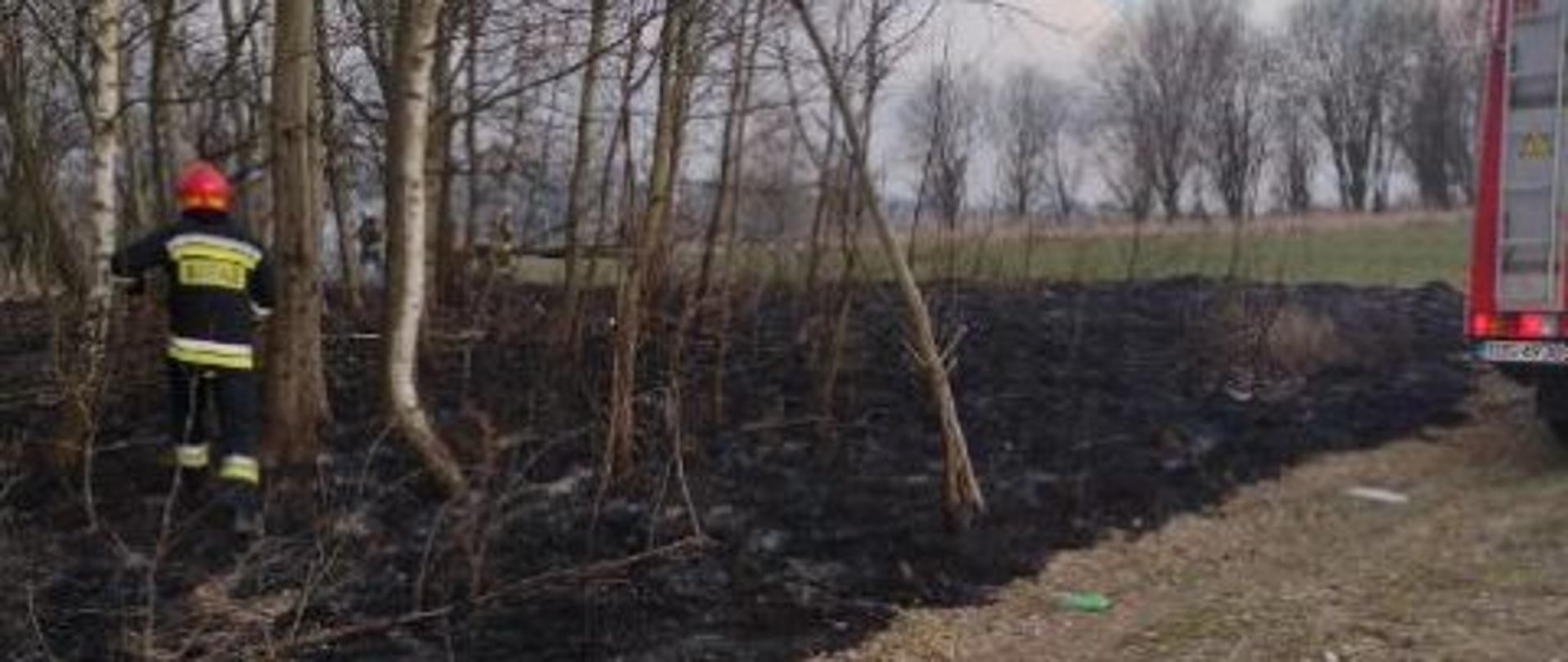 Pożary traw na terenie powiatu ostrowieckiego