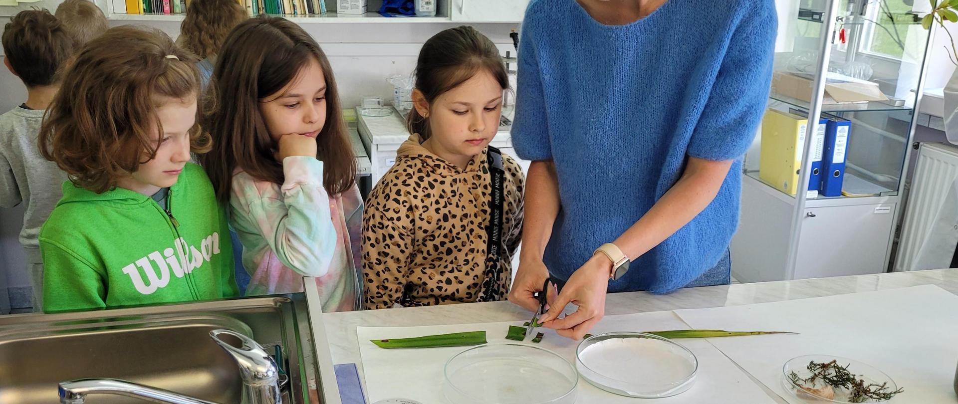 Przygotowanie preparatu mikroskopowego