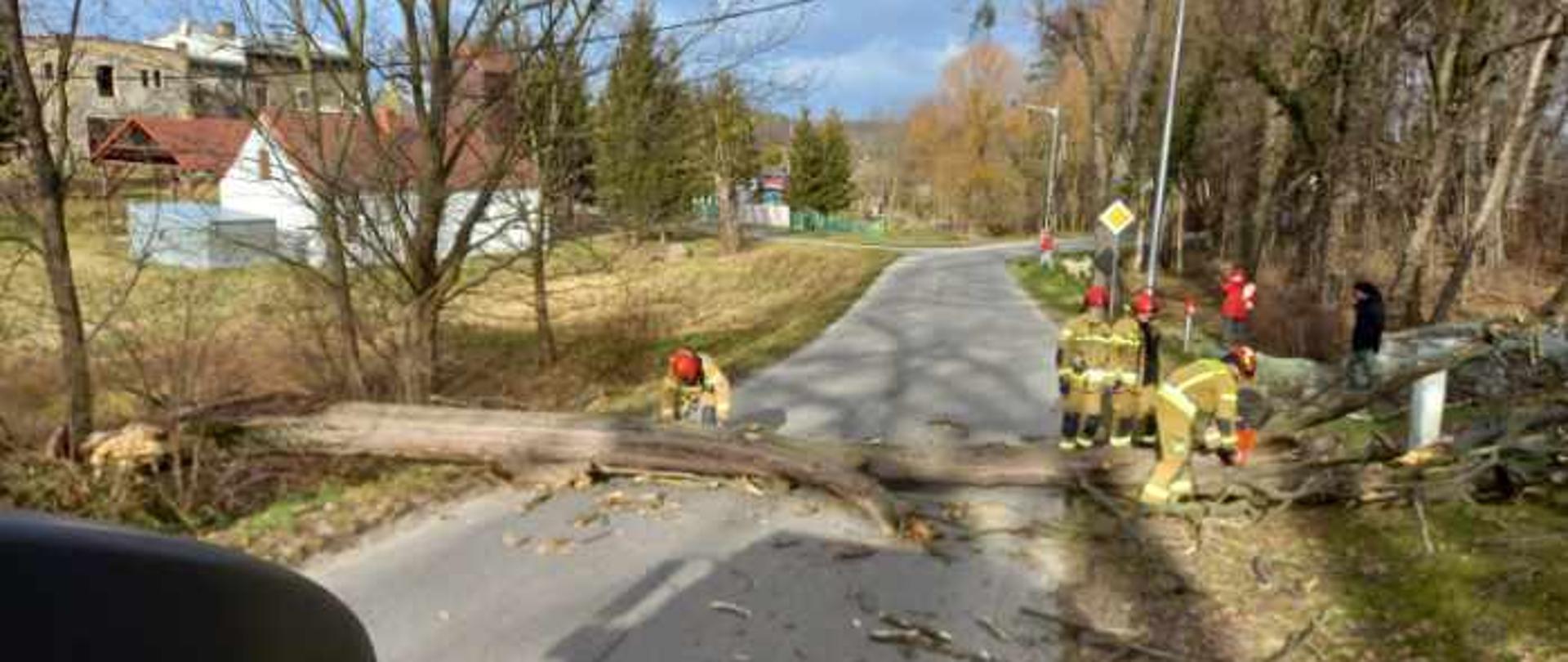Interwencje związane z silnym wiatrem na terenie powiatu brzeskiego