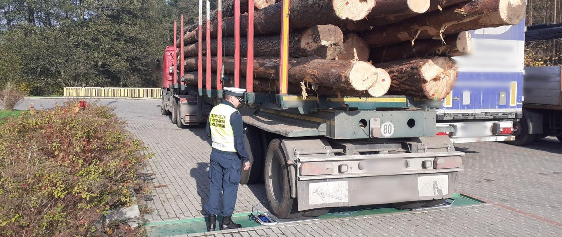 Od lewej: umundurowany inspektor warmińsko-mazurskiej Inspekcji Transportu Drogowego stoi obok kontrolowanego zestawu ciężarowego z dłużycami drewna. Funkcjonariusz odczytuje wynik pomiaru nacisku na drogę ostatniej osi naczepy. Obok stoją dwie inne, kontrolowane ciężarówki.