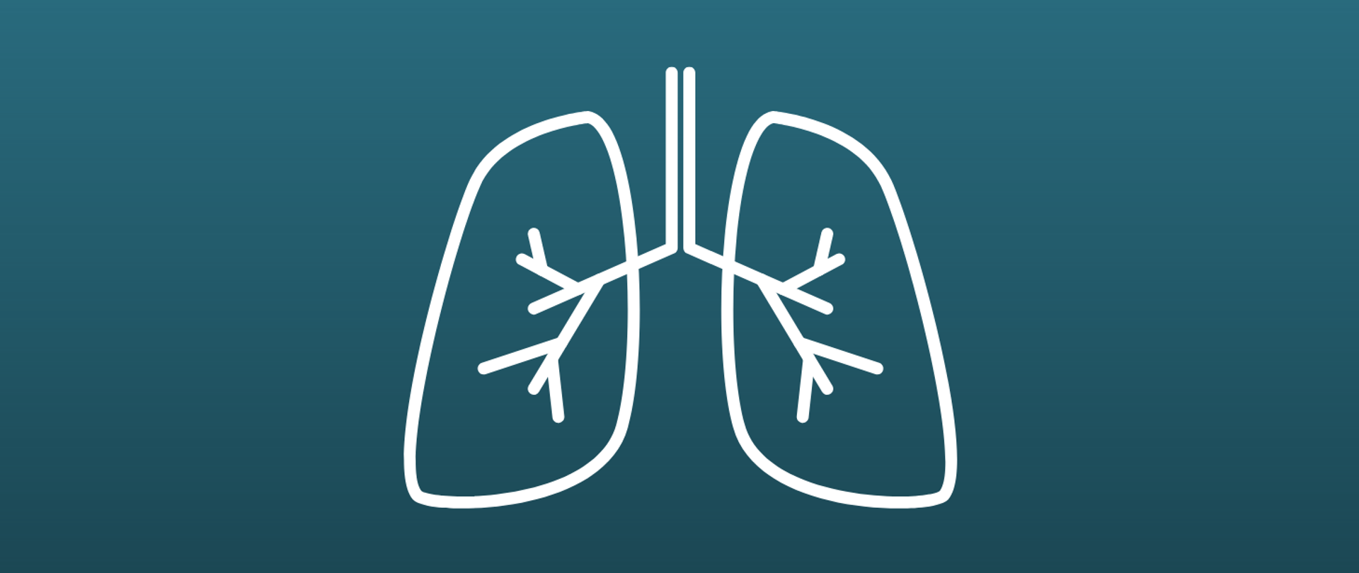 Rysunek płuc