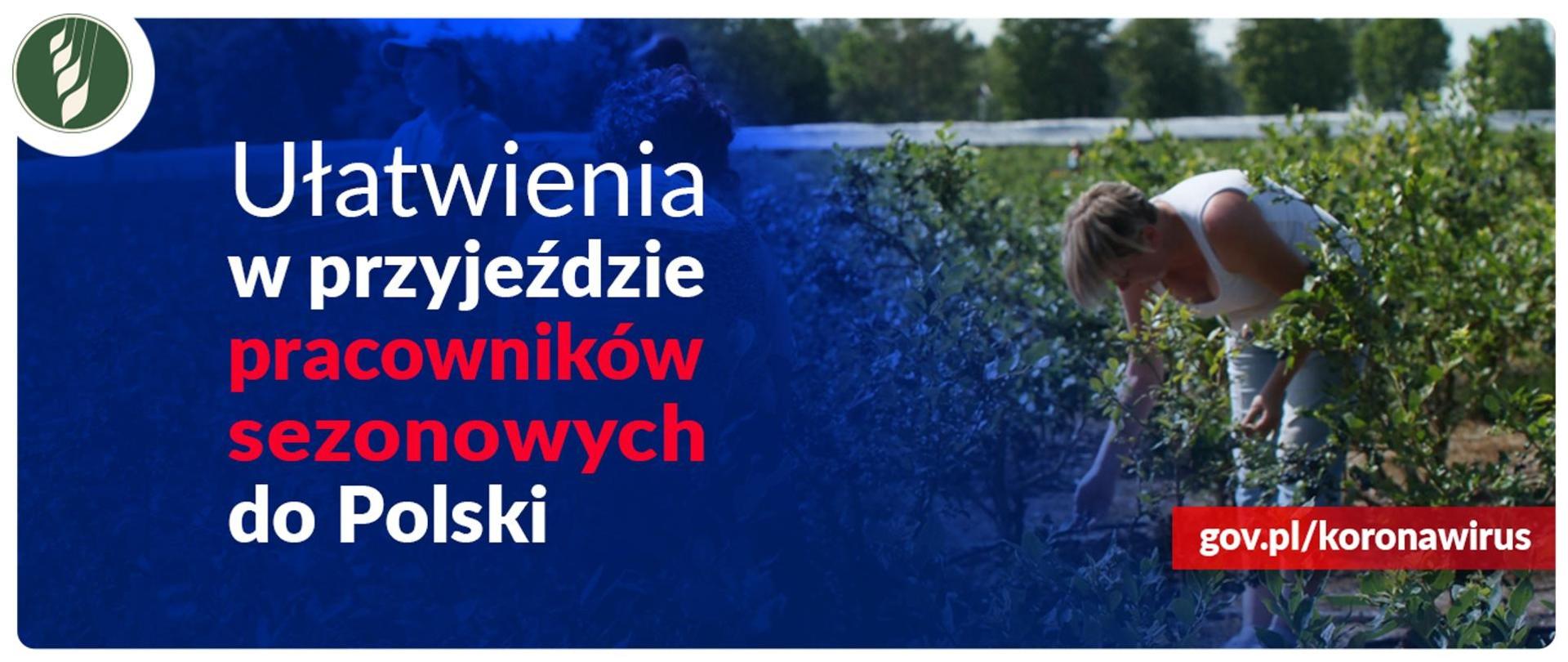 ułatwienia rolnicy
