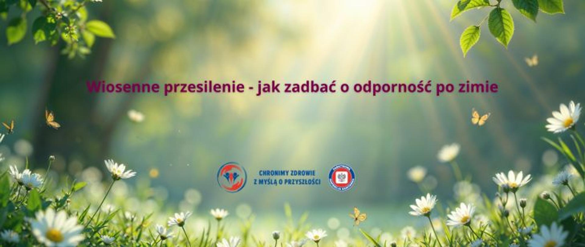 Grafika w tonacji zieleni. widoczne białe kwiaty, promienie słoneczne. Na środku napis w odcieniach filetu Wiosenne przesilenie - jak zadbać o odporność po zimie. Na dole na środku logo Państwowej Inspekcji Sanitarnej wraz z hasłem Chronimy zdrowie z myślą o przyszłości.