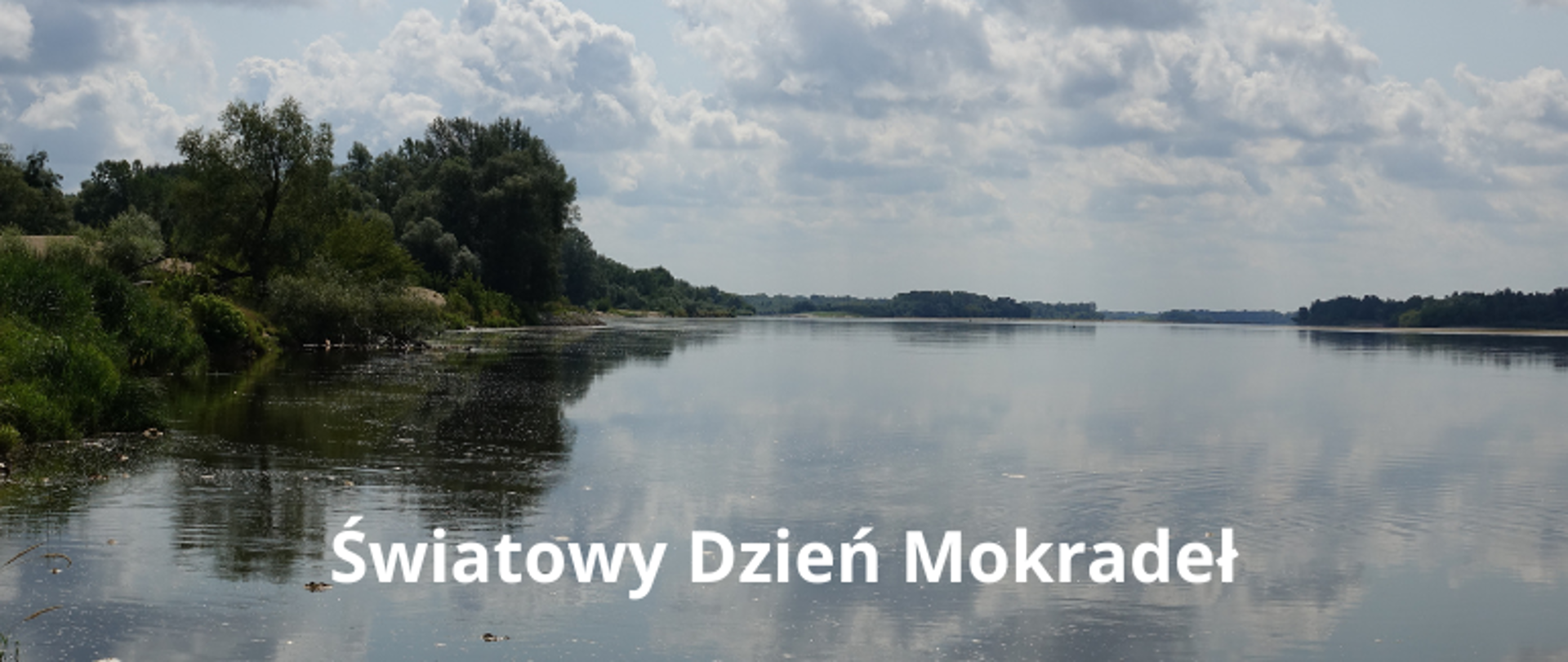 Białe chmury na niebie odbijają się w rzece, z boku i na drugim planie zielone kępy drzew i krzewów