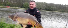 Karp o wadze 13,500 kg złowiony przez zawodnika z KP PSP Wolsztyn. W tle zbiornik wodny położony wśród lasów.
