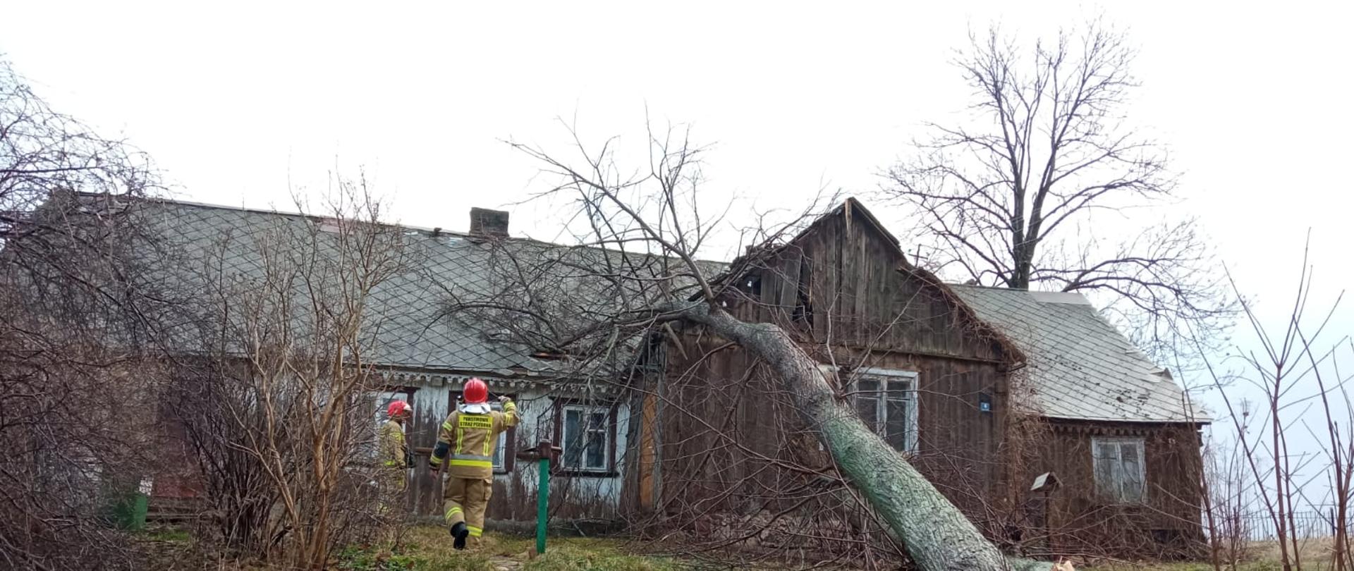 Interwencję strażaków w powiecie sejneńskim, spowodowane porywistymi wiatrami