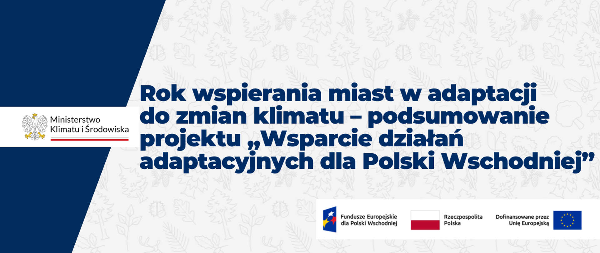 Rok wspierania miast w adaptacji do zmian klimatu – podsumowanie projektu „Wsparcie działań adaptacyjnych dla Polski Wschodniej”
