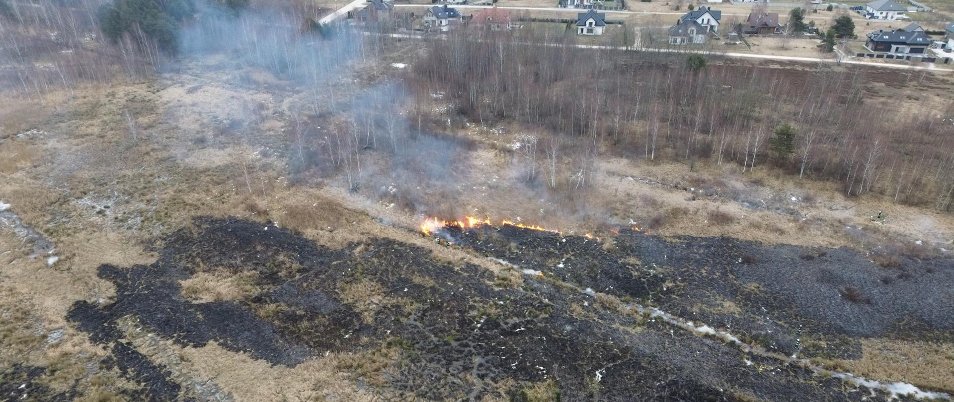 Na zdjęciu przedstawiono skutki pożaru traw na nieużytkach. 