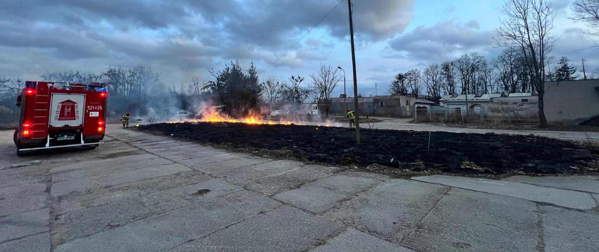 Na zdjęciu widoczny jest pożar trawy oraz strażacy walczący z ogniem.