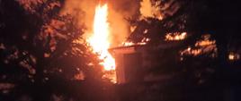 Na zdjęciu widać palący się dach budynku mieszkalnego znajdującego się między drzewami. W dole zdjęcia widać strażaka ubranego w sprzęt ochrony układu oddechowego idącego w kierunku płonącego obiektu.