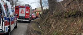 Zdjęcie przedstawia samochody pożarnicze, samochód pogotowia oraz miejsce wypadku. 