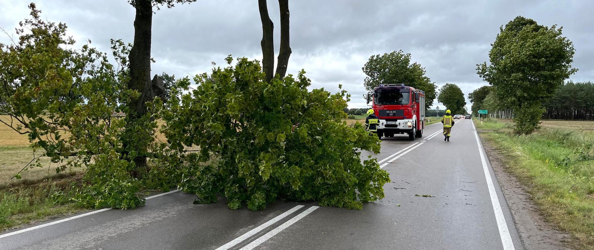 drzewo blokujące pas jezdni. W tle widoczni strażacy oraz pojazd pożarniczy 
