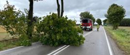 drzewo blokujące pas jezdni. W tle widoczni strażacy oraz pojazd pożarniczy 