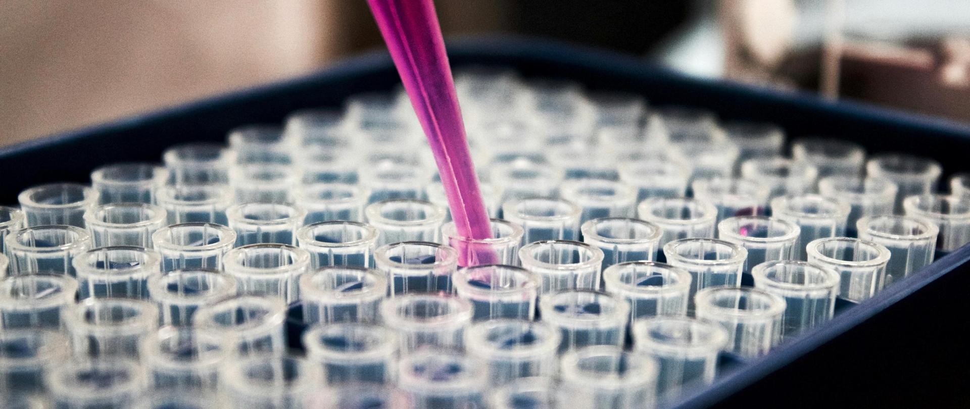 Probówki szklane w koszyku