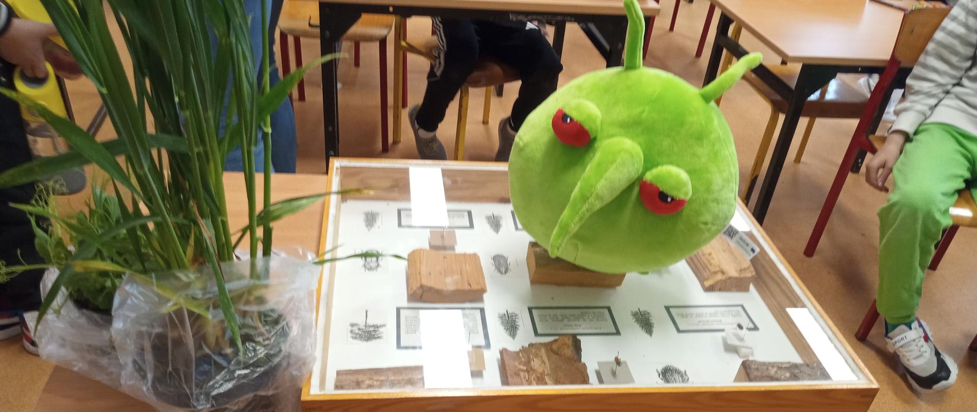 w klasie na ławce na gablocie z okazami owadów leży zielona maskotka , z lewej strony doniczka ze zbożami, w tle dzieci siedzące w ławkach