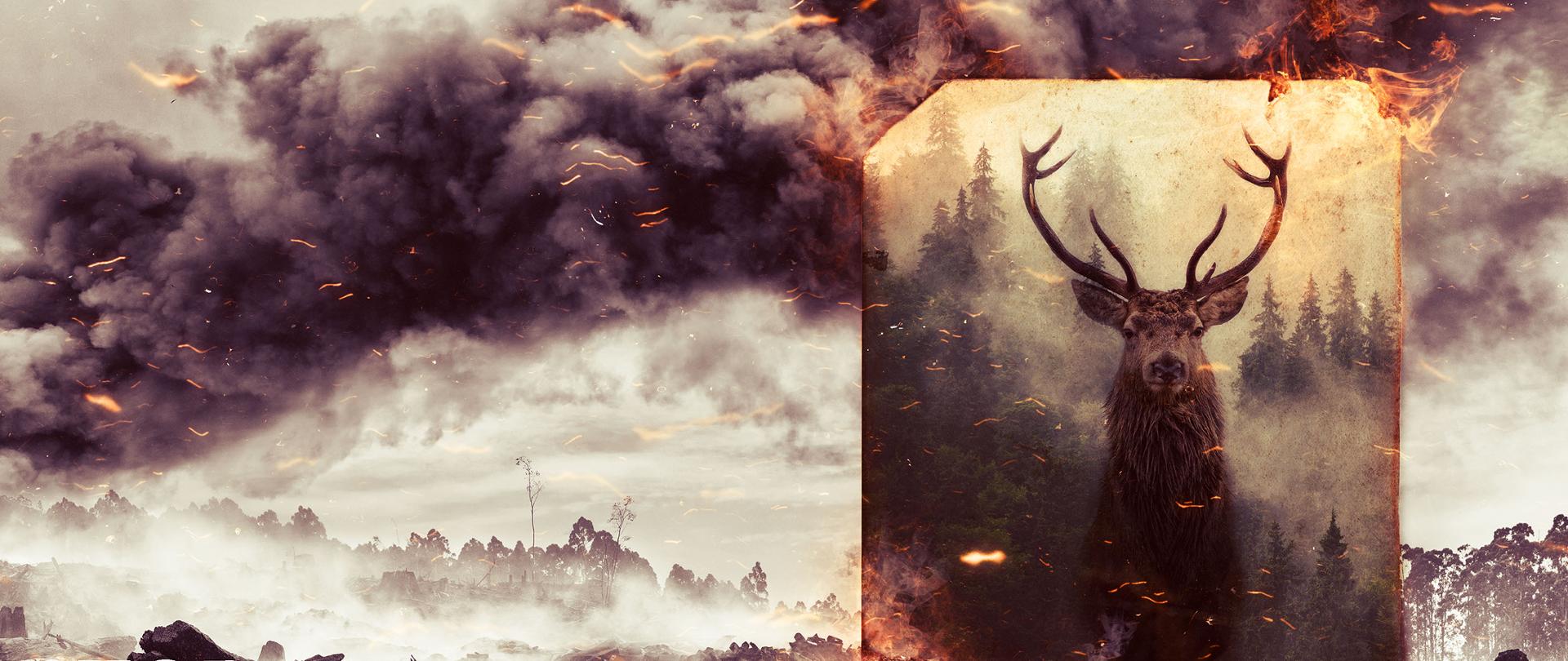 Plakat kampanii społecznej "Stop pożarom traw" . Na plakacie spalona ziemia w ciemnych kolorach i obłokach dymu. Po prawej stronie plakatu w tej scenerii widać dużego jelenia , który ucieka z płonącego lasu. Na dole napis w białym kolorze. Stop pożarom traw.