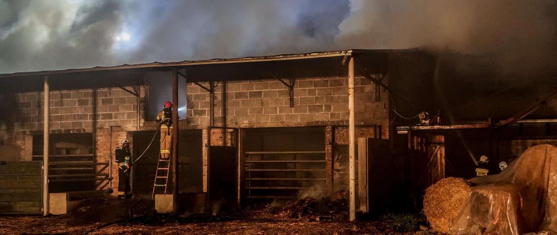 Pożar w Rakoniewicach - działania gaśnicze