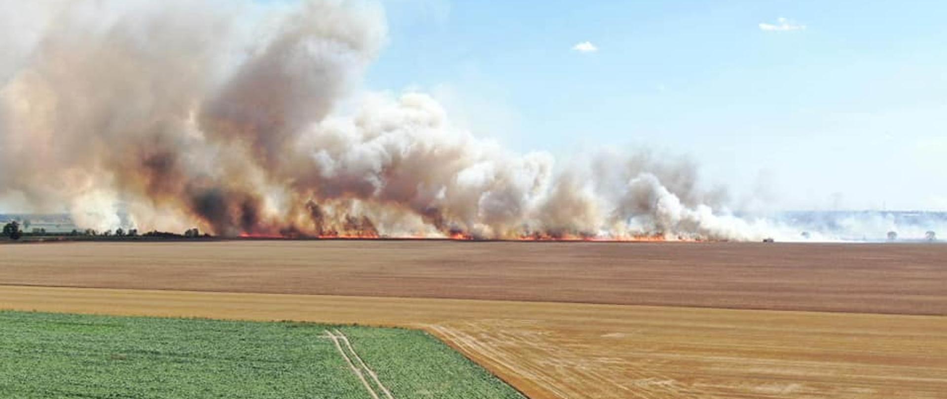 Palące się w oddali pola, dym przysłaniający niebo
