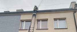 Szkolenie podstawowe strażaków ratowników OSP- podanie prądu piany średniej