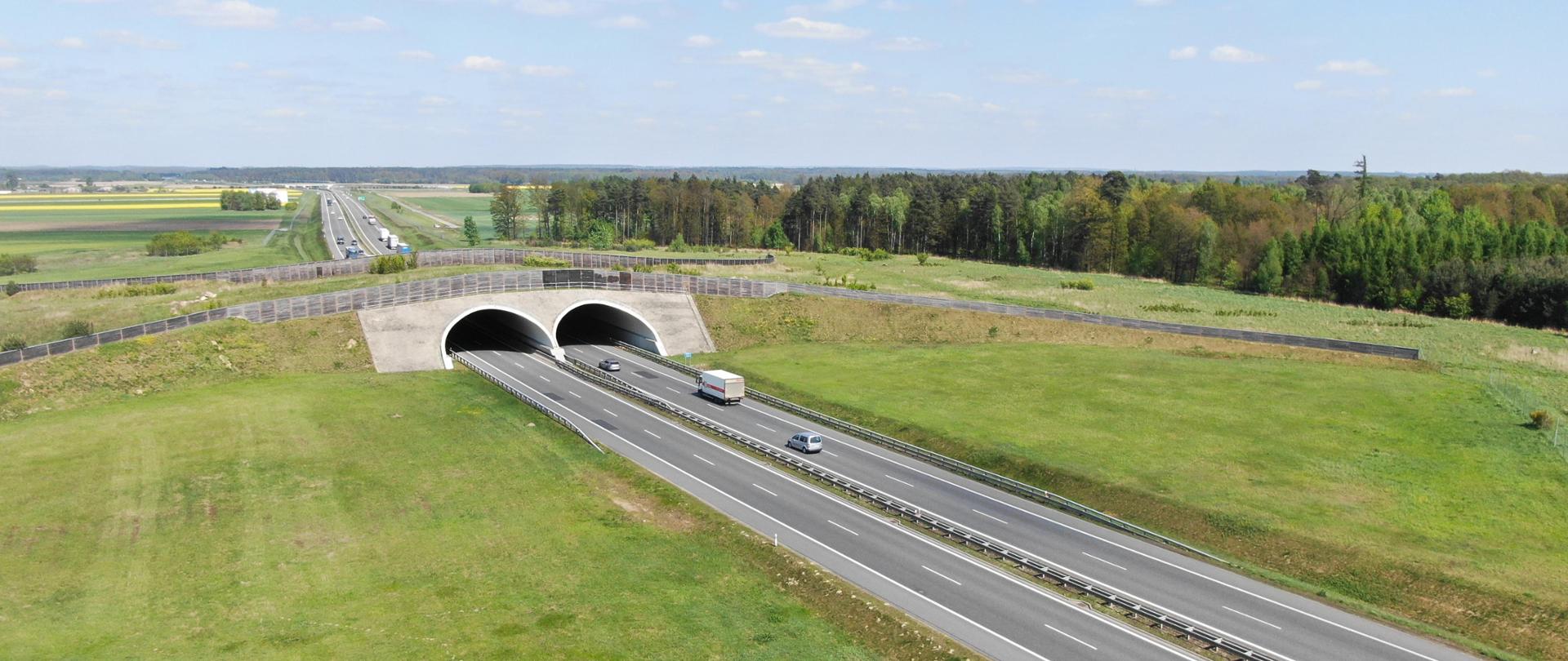 S8 Wrocław-Syców fot. M.Soroko