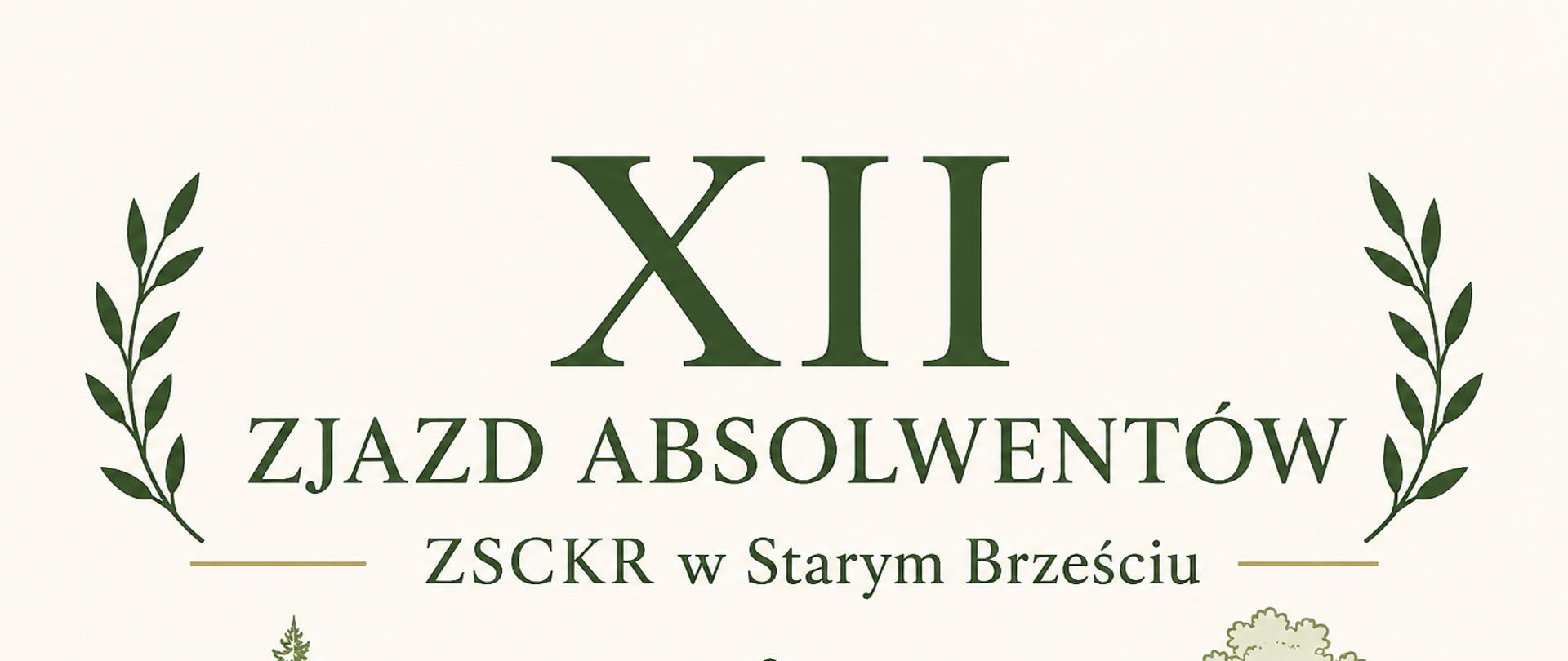 Zjazd