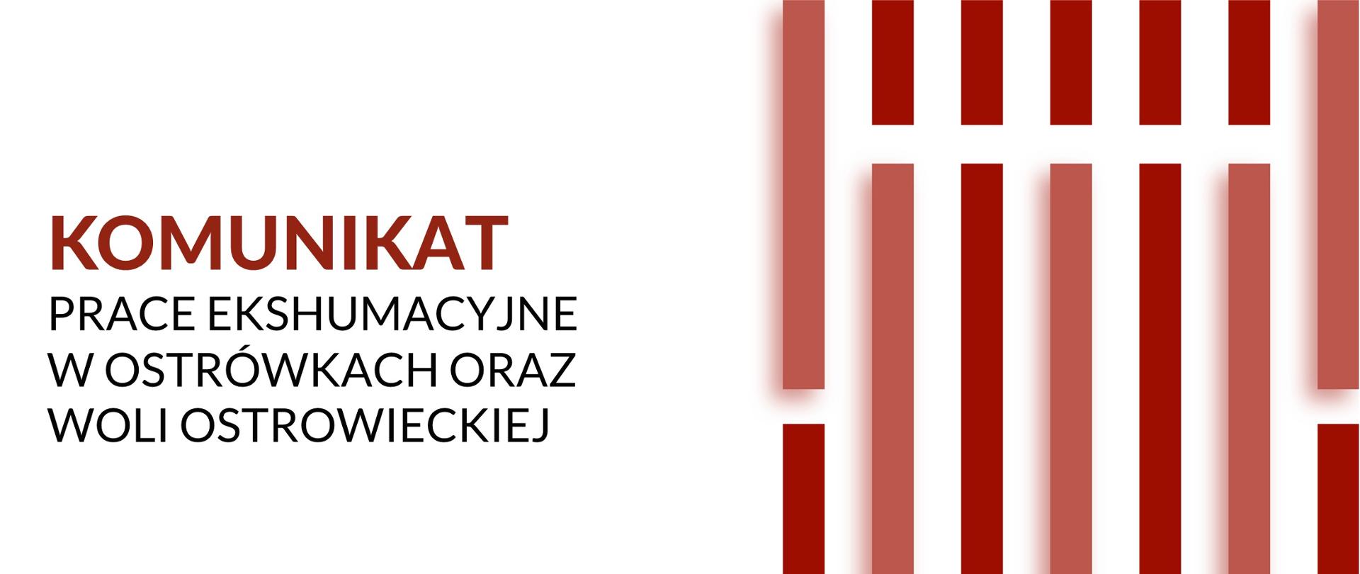 Ekshumacje ofiar Zbrodni Wołyńskiej w Ostrówkach i Woli Ostrowieckiej na Wołyniu, grafika