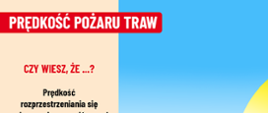 Prędkość pożaru traw