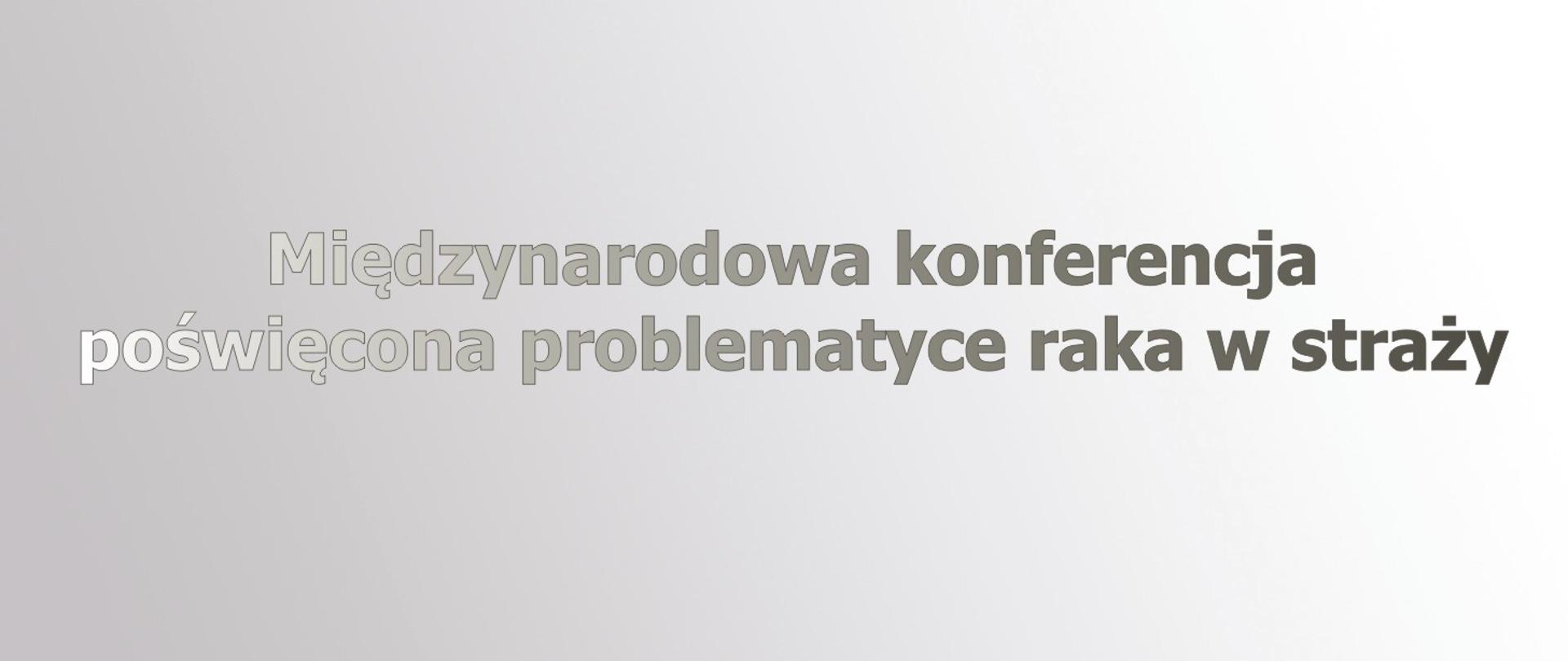 Międzynarodowa konferencja poświęcona problematyce raka w straży.