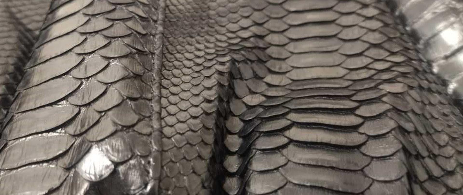 fragment skóry pytona