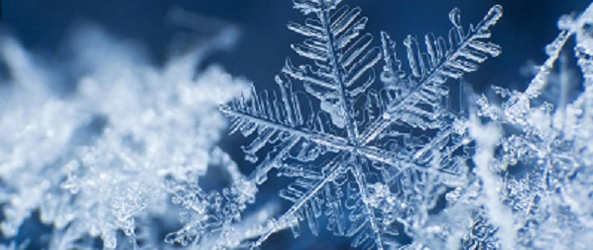 zdjęcie obrazuje płatki śniegu