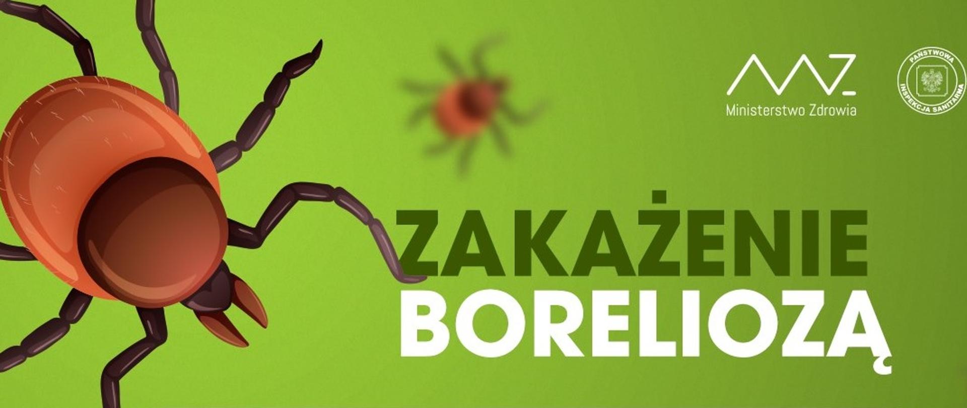 Zakażenie_boreliozą