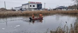 Na zdjęciu widoczna jest łódź ratownicza z dwoma strażakami - ratownikami na pokładzie. Płynie po częściowo zamarzniętym akwenie wodnym, otoczonym suchymi trzcinami. W tle widoczny jest kompleks budowlany oraz inne zabudowania. Strażacy z Jednostki Ratowniczo - Gaśniczej Państwowej Straży Pożarnej w Przysusze przy użyciu łodzi ratowniczej podpływają do przymarzniętego łabędzia i go uwalniają. 