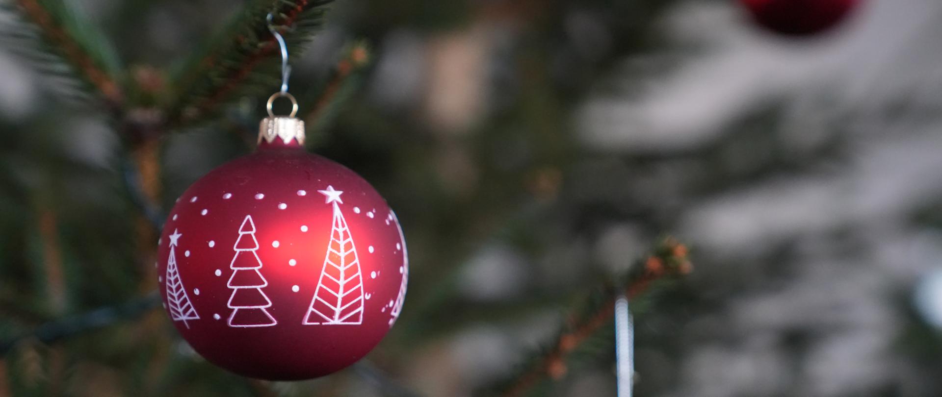 Życzenia Bożonarodzeniowe Wojewody Kujawsko-Pomorskiego 2025