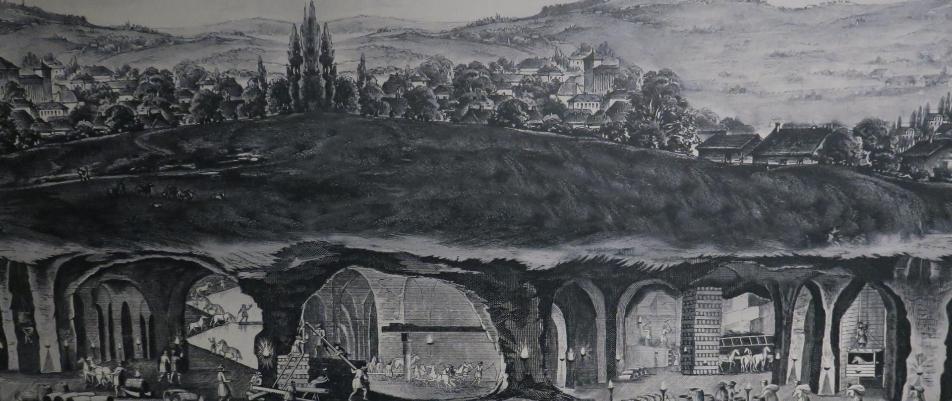 Szkolenie_psów_ratowniczych_