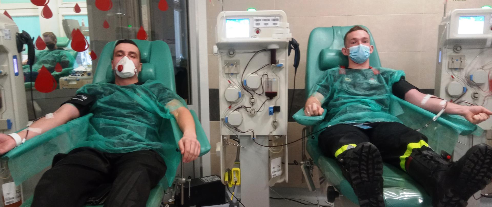 Dwóch strażaków KP PSP Płońsk w ubraniu koszarowym i fartuchu medycznym siedzą na fotelu medycznym, z reki pobierana jest krew.