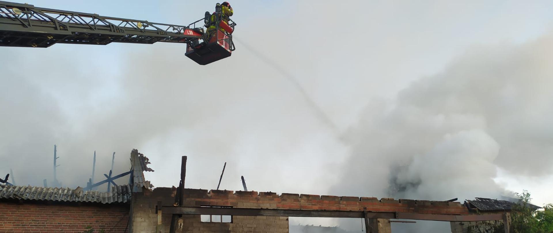 Zdjęcie przedstawia zniszczony budynek inwentarski po pożarze. Nad budynkiem bez dachu unosi się dym oraz para wodna. Na zdjęciu widać strażaka stojącego przed budynkiem oraz dwóch strażaków znajdujących się w koszu drabiny mechanicznej, dogaszających tlącą się słomę. 