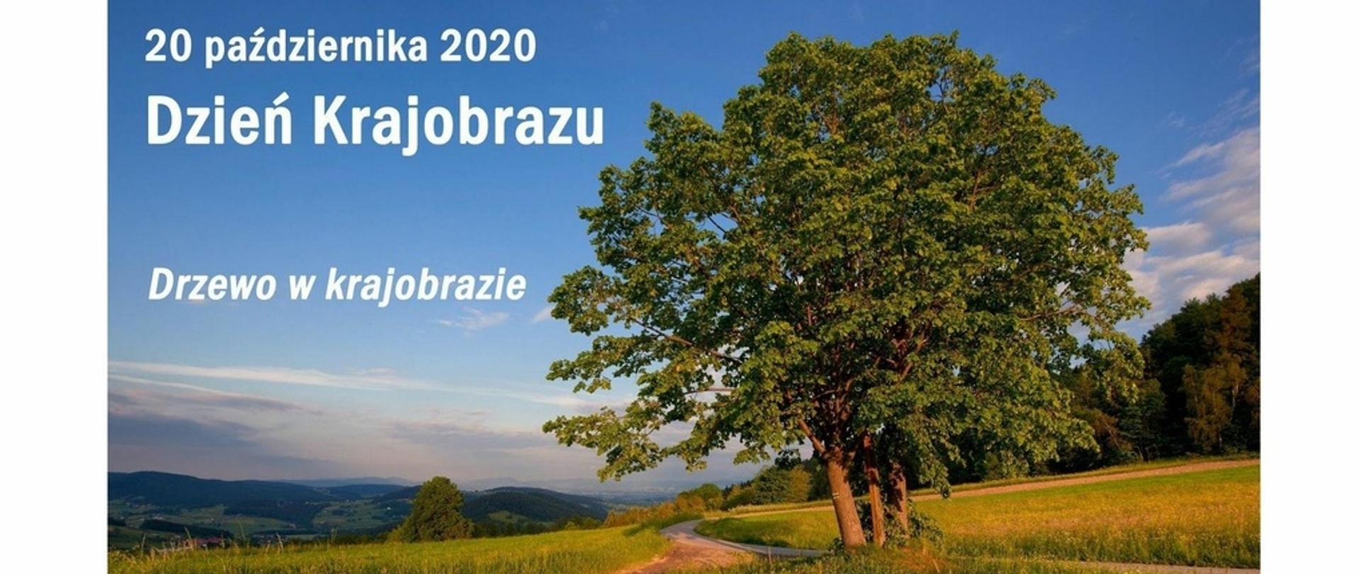 Drzewo rosnące przy polnej drodze. W oddali widać las oraz błękitne niebo.