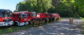 Zbiórka strażaków przed ćwiczeniami. W tle stoją wozy strażackie, przed wozami strażacy. Przed nimi kadra kierownicza tłumaczy ćwiczenia.