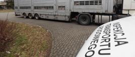 Na pierwszym planie (od prawej): maska oznakowanego furgonu zachodniopomorskiej Inspekcji Transportu Drogowego. W tle: naczepa przystosowana do przewozu żywych zwierząt podpięta do ciągnika siodłowego. W ładowni naczepy widać przewożone żywe świnie.