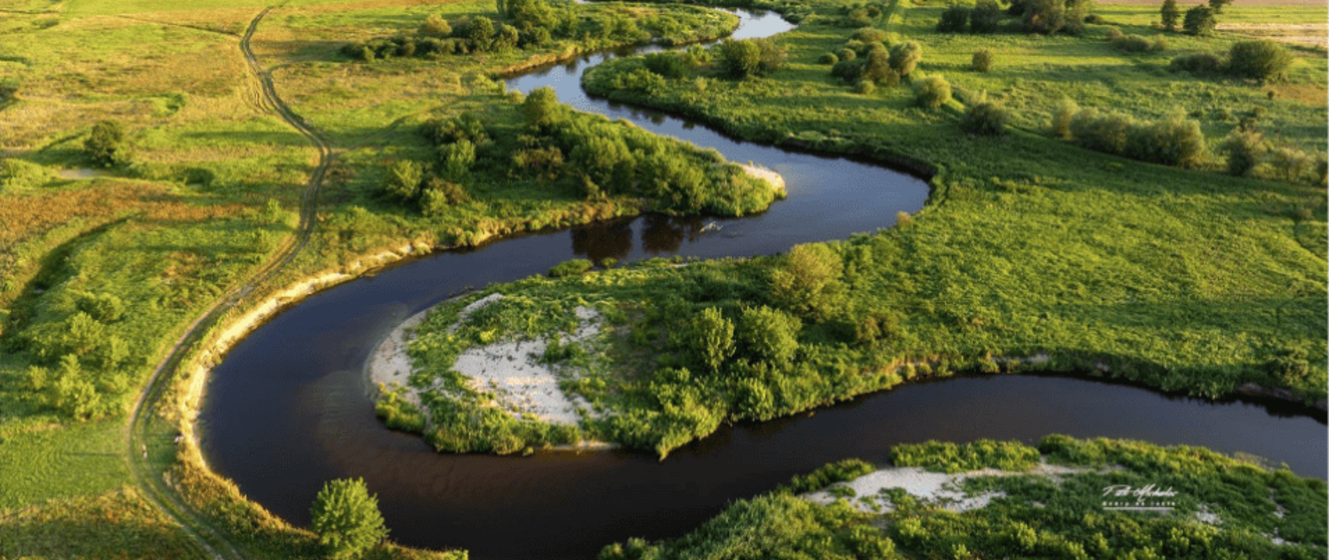 Meandrująca rzeka